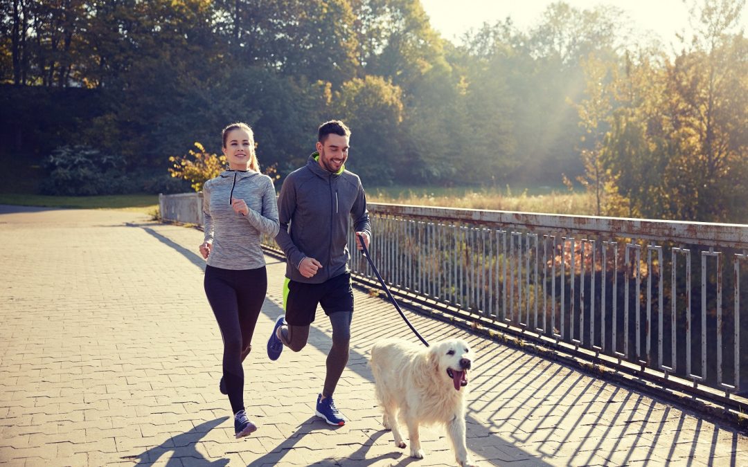 ¿Sale a correr con su perro?