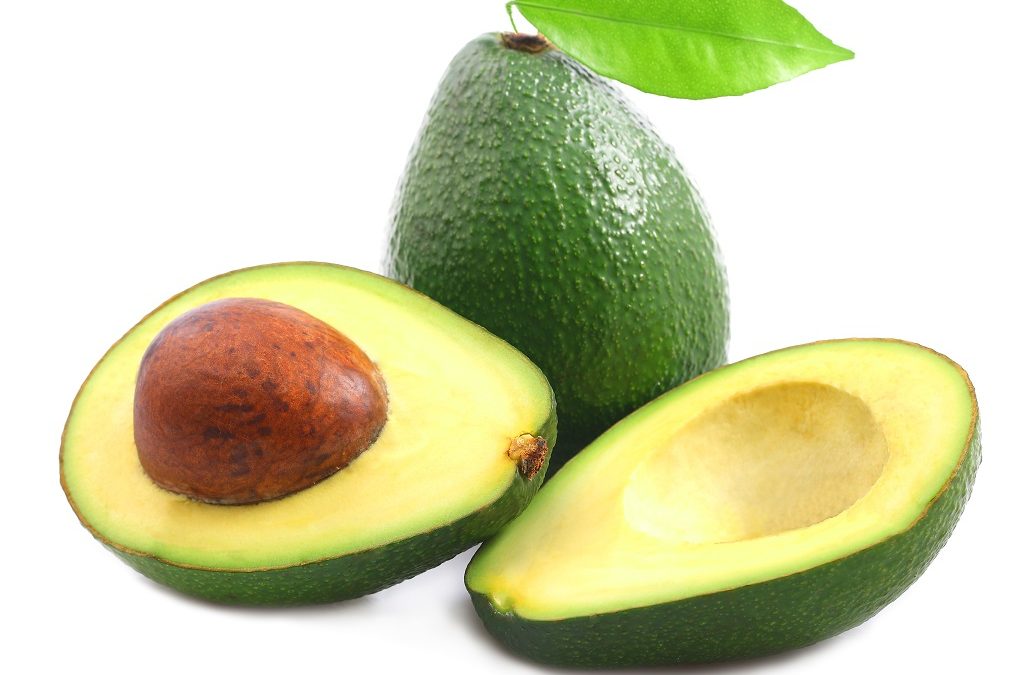 La palta, múltiples beneficios para el organismo