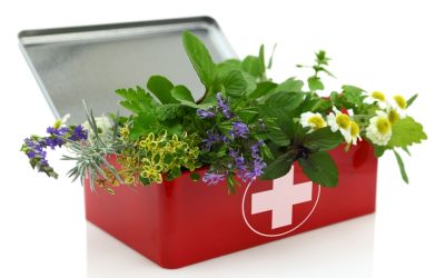 4 plantas al rescate para el dolor crónico